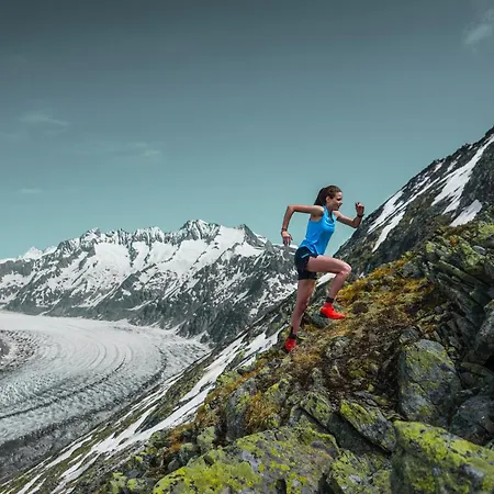Alpina Gæstehus