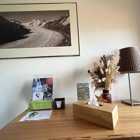 Alpina Konukevi Fiesch