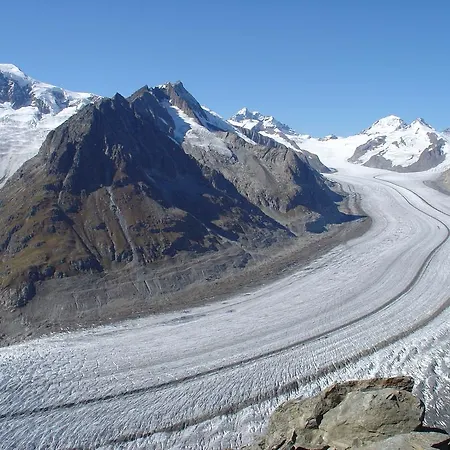 Alpina