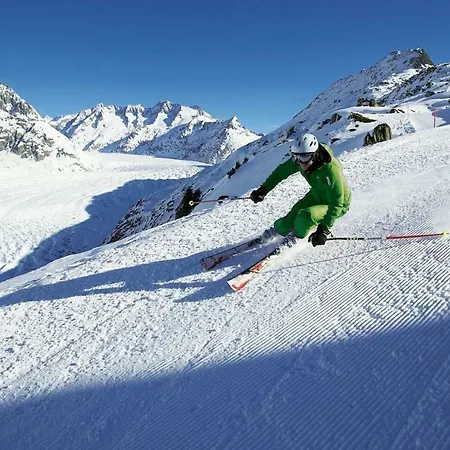 Gæstehus Alpina