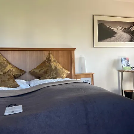 Casa de hóspedes Alpina 3*